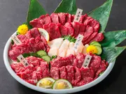 国産馬刺し 大満足セット(熊本馬刺しドットコム)