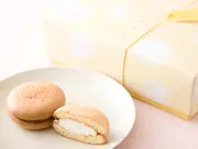 酪円菓（らくまどか）12個入(ラ・テール)