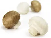 とかちマッシュミックス（100g×6パック）(とかちマッシュ)