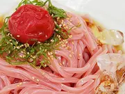 南高梅梅肉入　紀州冷し梅うどん（4食スープ付）(紀州ふみこ農園)