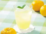 濃縮ゆずドリンク 1L(Made in 土佐 高知アイス)