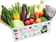 元気野菜セットお手軽（S）コース10品目(九州野菜王国)