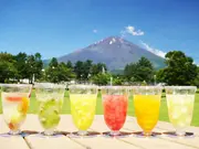 定番ゼリー6個セット(生フルーツゼリー専門店　フルフール御殿場)