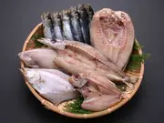 ご長寿干物6種セットA(干物市場ドットコム)