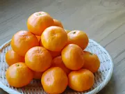 みかん（蜜柑）2Sサイズ「小姫珠」 2kg(よけそ農園)