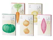 私想いのホッとポタージュセット(上越フルーツ)