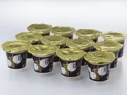 麹と米だけからつくった甘酒 12個ギフトセット (タイシネットショップ)