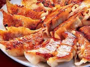 黒豚生餃子　15個(餃子の王国)