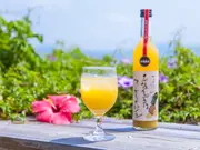 石垣島産プレミアム有機パイナップルジュース500ml×2本セット(やえやまファーム)