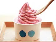 人気よりどりセット（6個入り）(ウッドベリーズ)