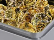 牡蠣 殻付き カンカン焼きセット２０個入(伊勢鳥羽志摩特産横丁)