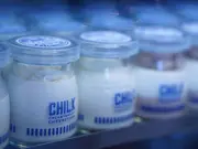 CHILK（チルク）4個BOX(cafe The SUN LIVES HERE)