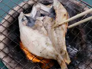 干物　のどぐろ(干物専門店　河野乾魚店)