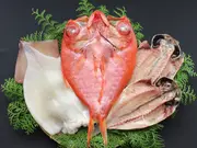 ひもの詰合せ　TR-37(熱海あをきのひもの本店)