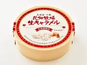【常温タイプ】花畑牧場 生キャラメル プレーン 72g(花畑牧場)