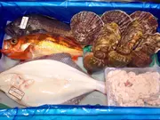 鮮魚詰め合わせセット(小西鮮魚店)