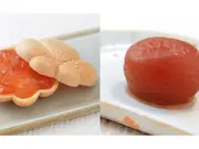 杏もなか・杏花の実セット（杏もなか5個・杏花の実4個）(杏花堂)