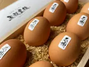 本当に美味しい お取り寄せ卵 おすすめ人気ランキング おとりよせネット 本当に美味しい お取り寄せ卵 おすすめ人気ランキング おとりよせネット