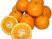 いよかん5kg(みかん産直　南の果樹園ニュウズ)