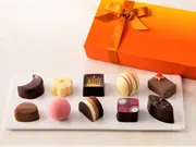 トリュフアソート　10個入(グランプラス)