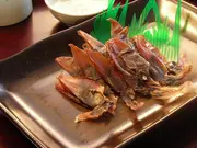 生干ホタルイカ 70g(鮮魚屋)