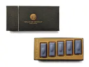 洋菓子マウンテン　アンジェ(ショコラナビ)