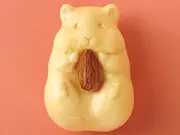 ハムスターモナカ（6個）(こころなごむ故郷の銘菓　青木光悦堂)