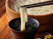 半生うどん｢つけつゆ付｣(かも川手延素麺)