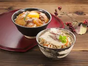 炊き込み鯛飯・刺身鯛飯 食べ比べセット(えひめ逸品)