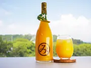 愛媛県産 清見ジュース 「本気」 720ml×2本(えひめ逸品)