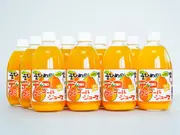 デコタンゴールストレートジュース 500ml×12本セット(えひめ逸品)