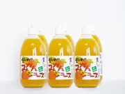 えひめのみかんジュース 500ml×6本セット(えひめ逸品)