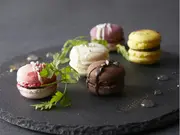 マカロンコレクション5(イグレックベガ)