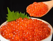 北海道から届く極上いくらを限定価格で