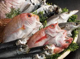 敬老の日仕様！旨味と思いの詰まった干物をお届けしませんか？