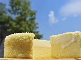 二層の異なる美味しさが調和するドゥーブルフロマージュ(菓子工房フラノデリス)