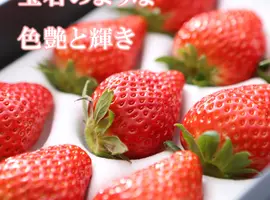 【銅賞受賞キャンペーン】送料込絶品いちご