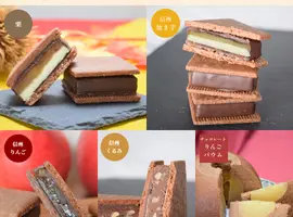 【秋の味覚プレミアムセット】GAKUチョコサンド(信州ショコラトリーGAKU)