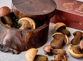 フィナンシエ　「ポルチーニショコラ」