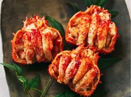 根室から届いた鮮やかなカニを 数量限定で販売！