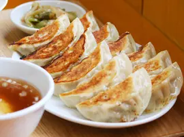 自家製冷凍餃子（12個入）(ミッちゃん餃子)