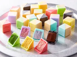 東京もなか 9個入(亀屋万年堂　ナボナ広場)