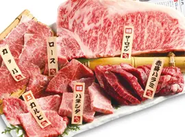 A5黒毛和牛まるごと一頭みつる盛り(道頓堀みつる)