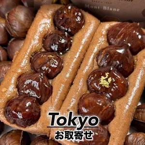 mogmognagoyaの「テリーヌ ドゥ ショコラ モンブラン」実食レポート