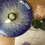 口コミ画像