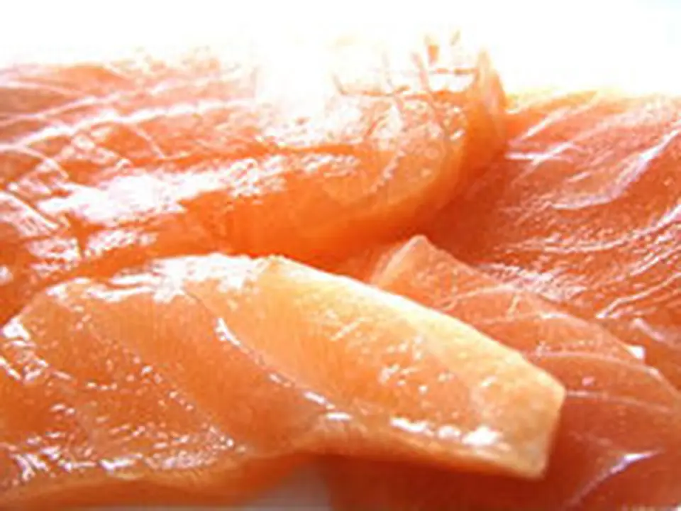 めぢか鮭 生１尾　3.0kg以上_0