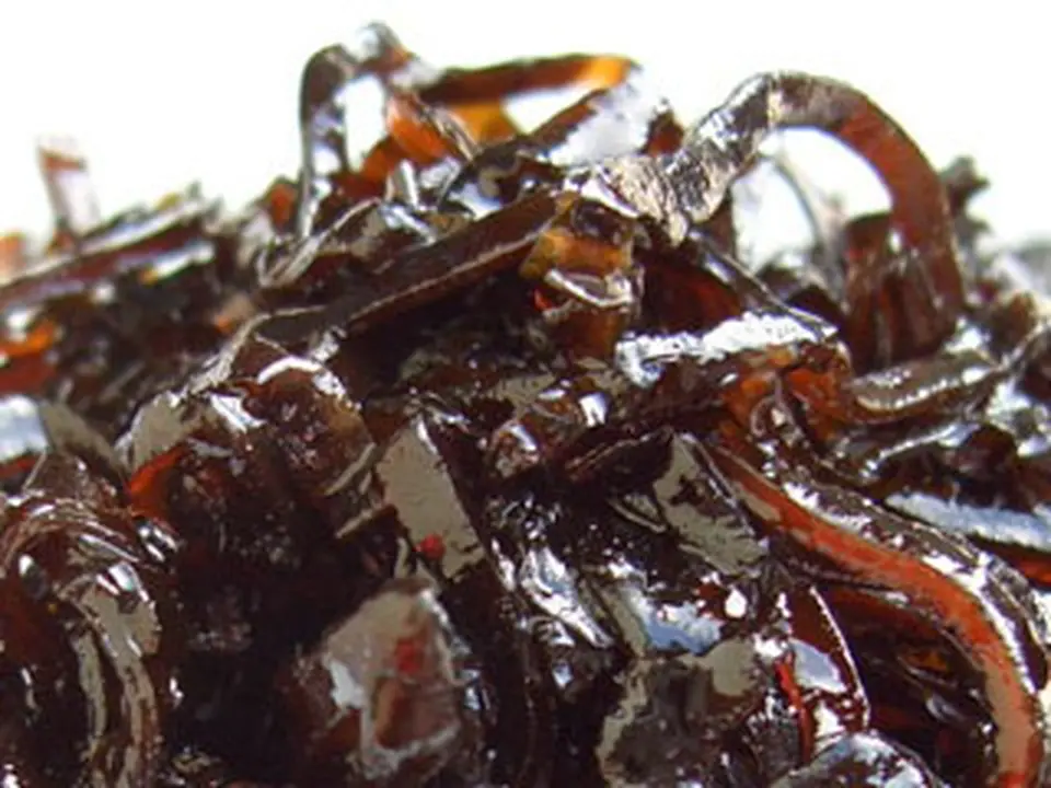 江戸昆布佃煮 100g_0