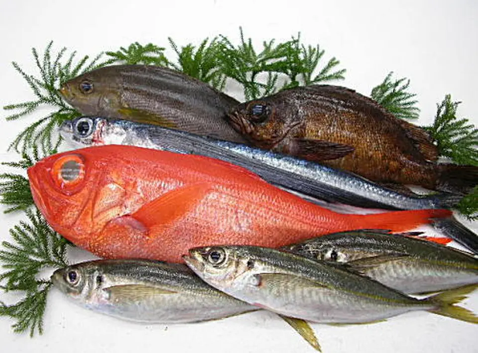 産地直送地魚お試しセット_0