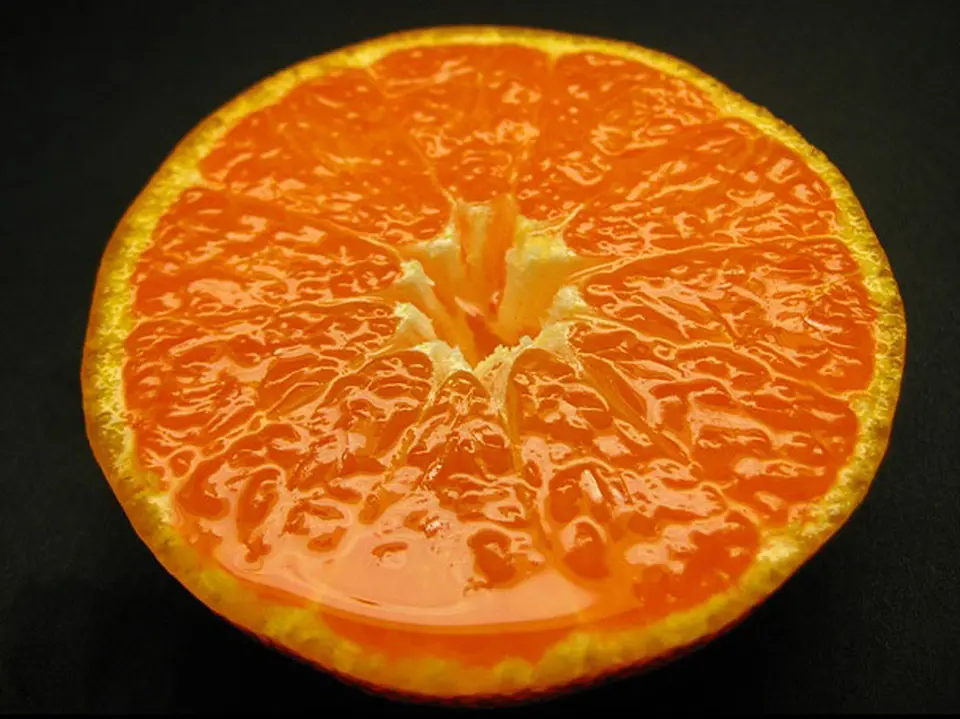 観音山姫小町みかん（とろコク一番人気）_0