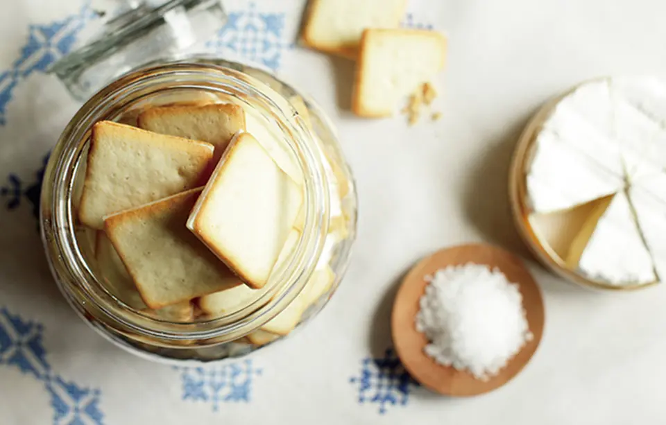 東京ミルクチーズ工場　ソルト＆カマンベールクッキー20枚入_0